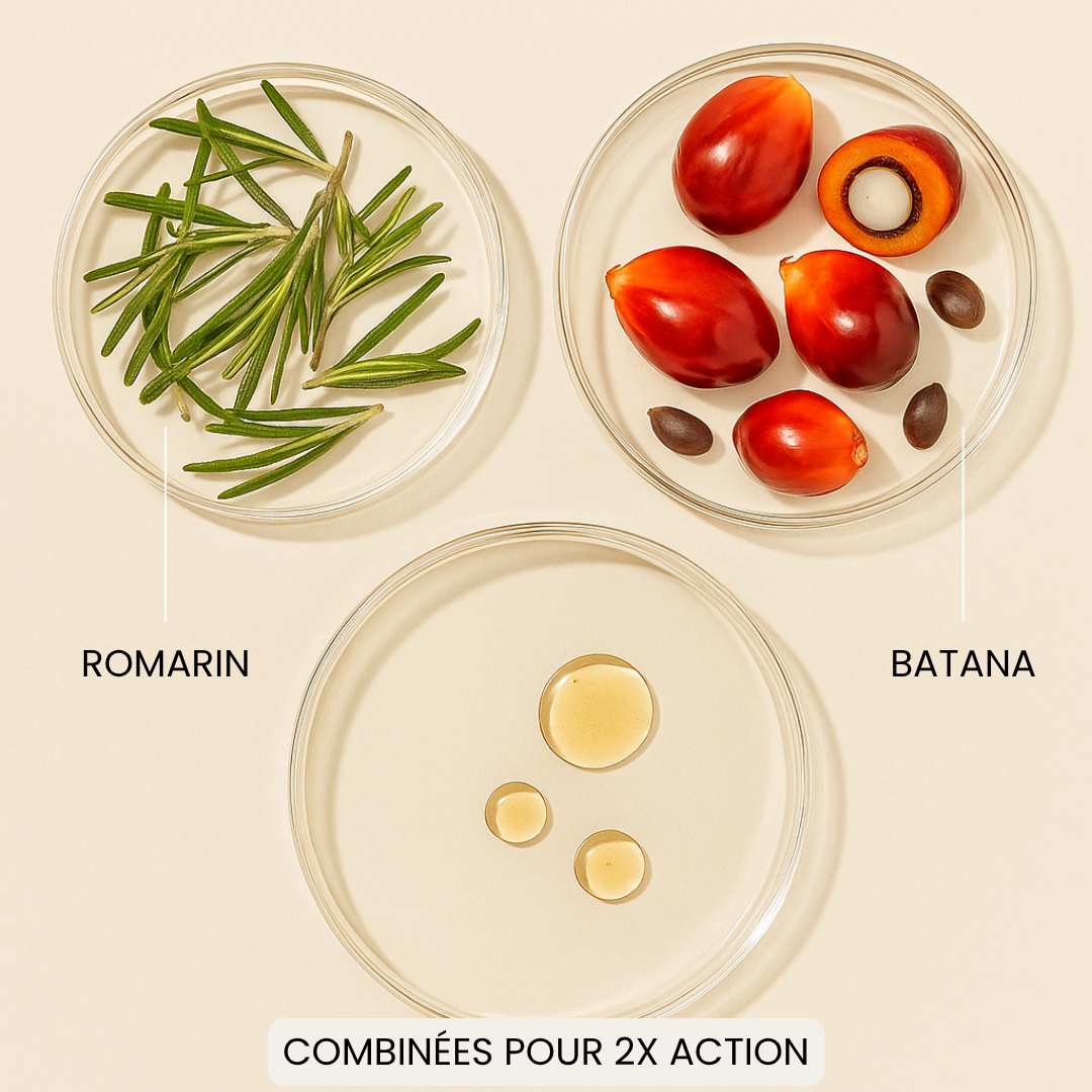 L'Huile de Batana + Romarin